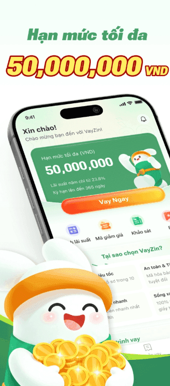 Hình ảnh hoạt động của VayZin